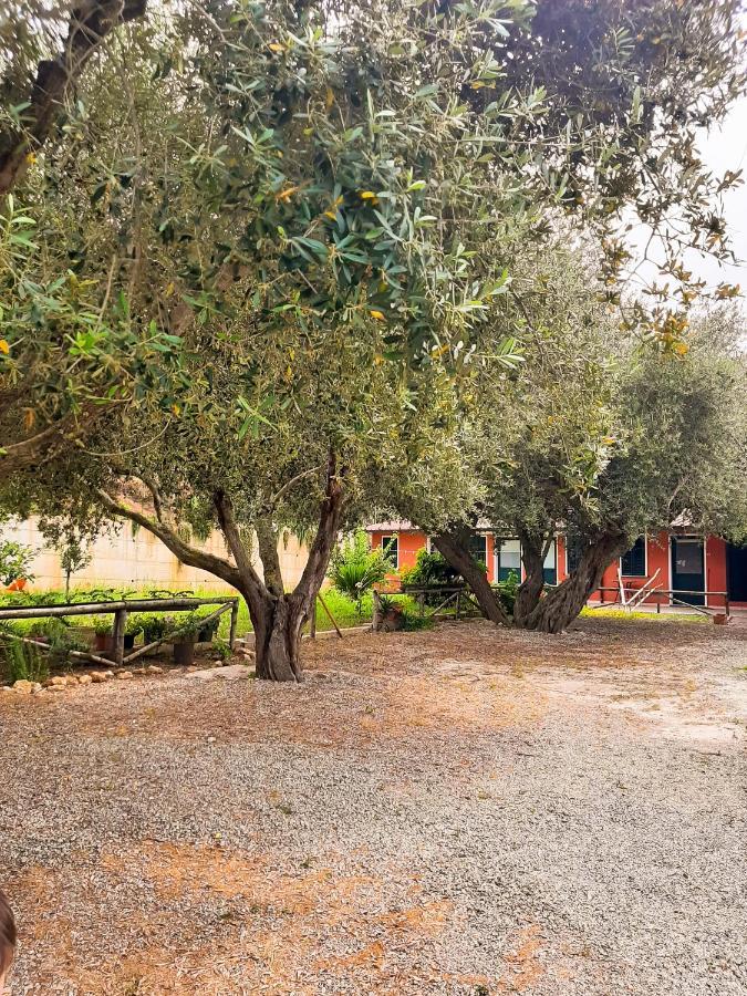 Locanda Adele Parghelia Exterior photo